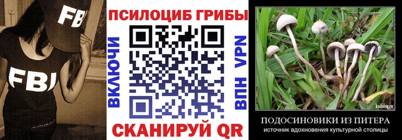Псилоцибиновые грибы MAGIC MUSHROOMS  магазин продажи   Волжск 